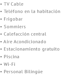 • TV Cable • Teléfono en la habitación • Frigobar • Sommiers • Calefacción central • Aire Acondicionado • Estacionamiento gratuito • Piscina • Wi-Fi • Personal Bilingüe