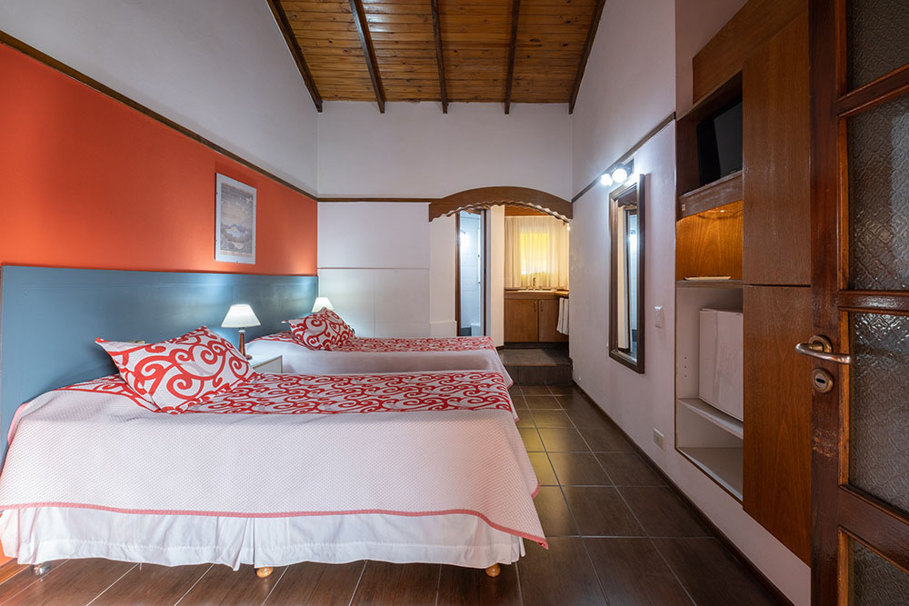 posadanehuen47-HABITACIÓN SINGLE